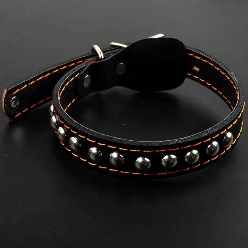 48711429587272|48711429685576|48711429718344