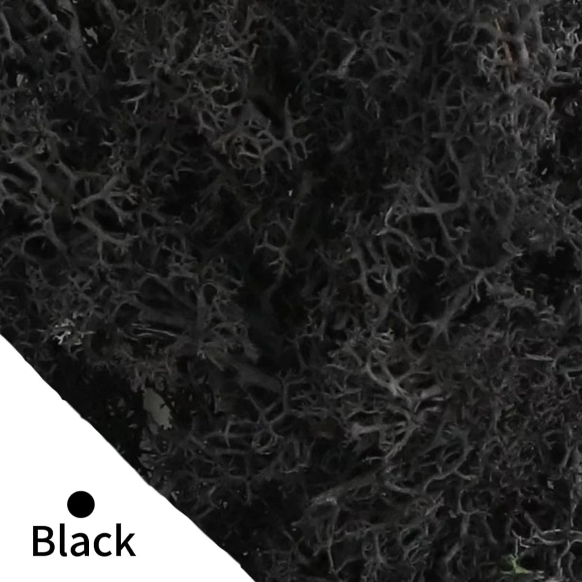 Eternal Life Moss DIY Crafts Grass Artificial Green Plants Home Room Garden Decor Mini Landscape Fake Grass 20/40/100g - Hiron Store