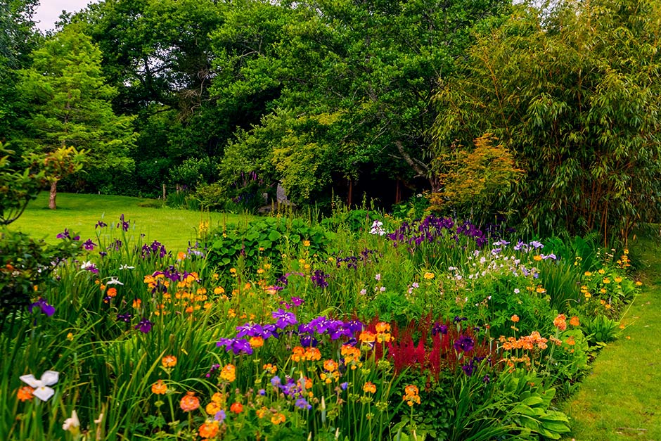 Gardening in the UK for Beginners: Grow Your Own Green Oasis