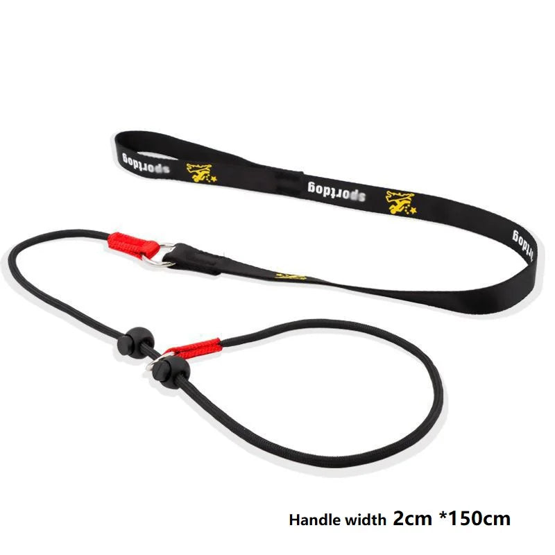 Choring Rope Training Dog Choking Rope Leash 2 in 1 Lead Collar 150cm P-Shaped Chai