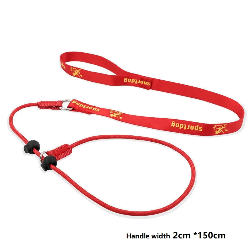 Choring Rope Training Dog Choking Rope Leash 2 in 1 Lead Collar 150cm P-Shaped Chai