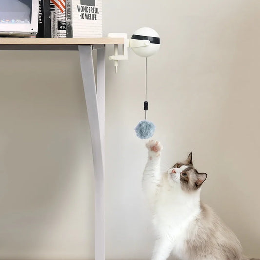 Automatic Lifting Cat Toy Ball Smart Electric Training Toys for Cats Accessories Interactive Funy Teaser Pet Product Ball Kitten - Hiron Store