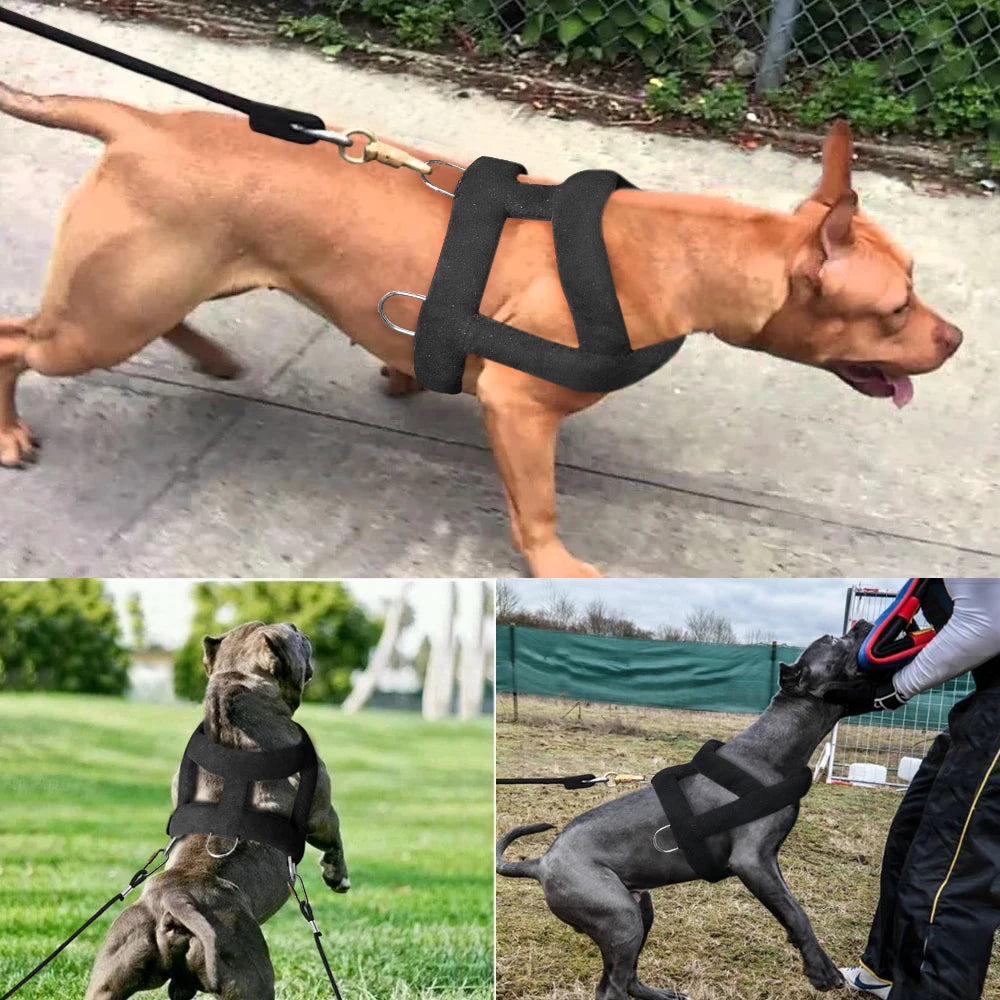 Dog Weight Pulling Harness Soft Padded Dogs Harnesses Pitbull Big Large Dogs