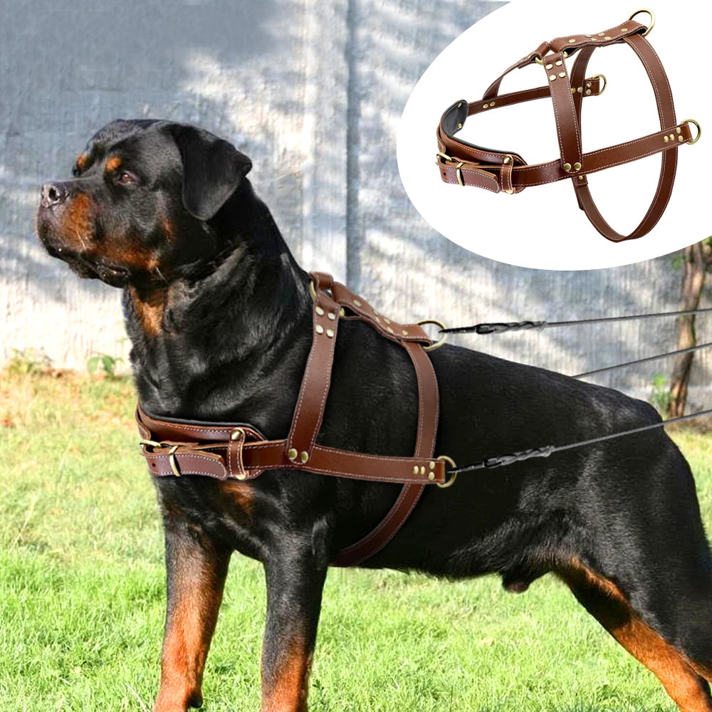 Real Leather Dog Harness Pet Strong Pulling Harness Vest For Large Dogs German Shepherd Dog