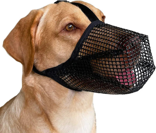 Pet Dog Muzzles Adjustable Breathable Dog Mouth Cover Anti Bark Bite Mesh Dogs Mouth Muzzle Mask For Dogs Long Mouth Doggy Use - Hiron Store