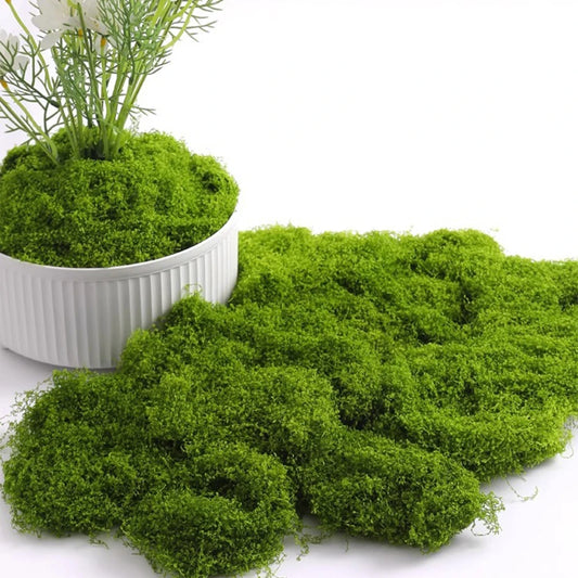 Eternal Life Moss DIY Crafts Grass Artificial Green Plants   Home Room Garden Decor Mini Landscape Fake Grass 20/40/100g - Hiron Store