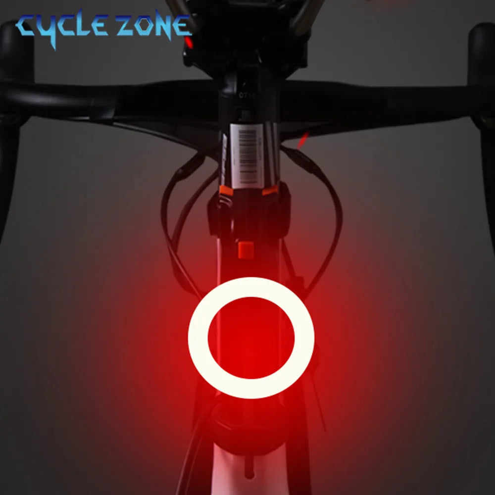 Bicycle Taillight USB Rechargeable Led Bike Light Flash Tail Rear Lights for Mtb Bike Seatpost