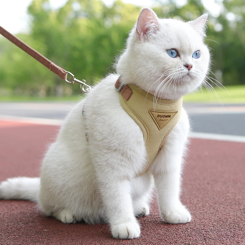 Cat  Outdoor Walking Supplies Fashion Pet and Leash Set for Small Cats Breathable Durable Kitten