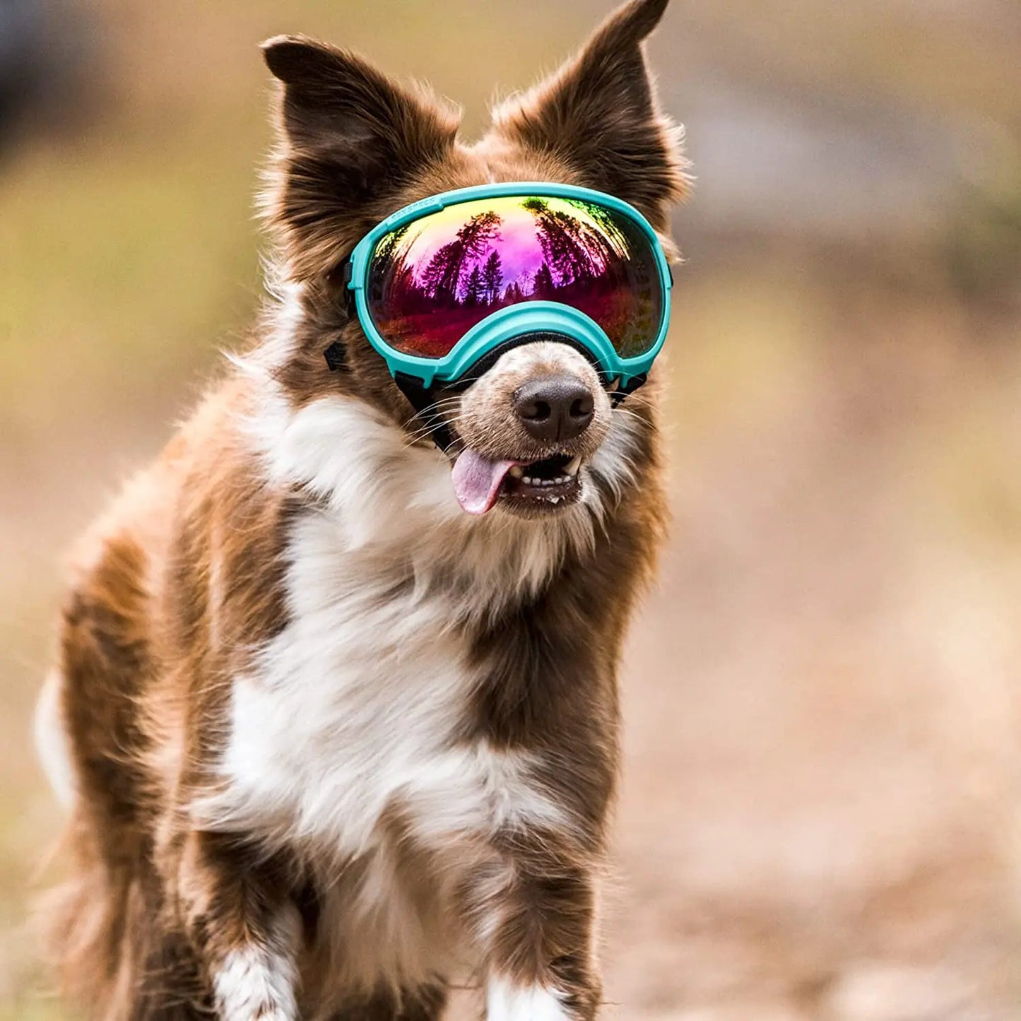 Strong Impact Resistance Adjustable Elastic Puppy Large Breed Dog Goggles Breathable Pet Sunglasses