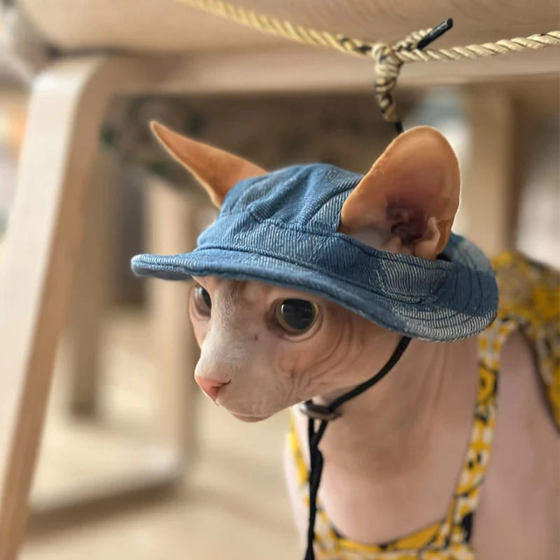 Cotton Cat Hat With Ear Holes For Sphynx Sphinx Hairless Cats Kitten Devon Rex Sunscreen