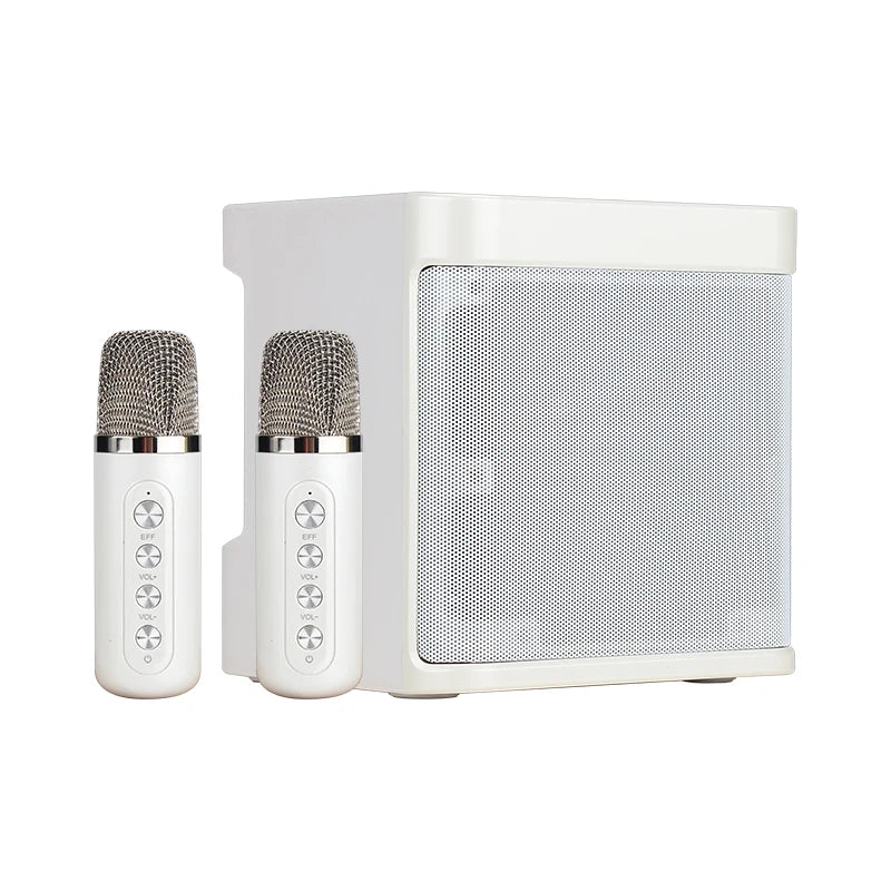 Dual Microphone Karaoke Machine for Adults and Kids Portable Bluetooth PA Speaker System with 2 Wireless Microphones for Home - Hiron Store