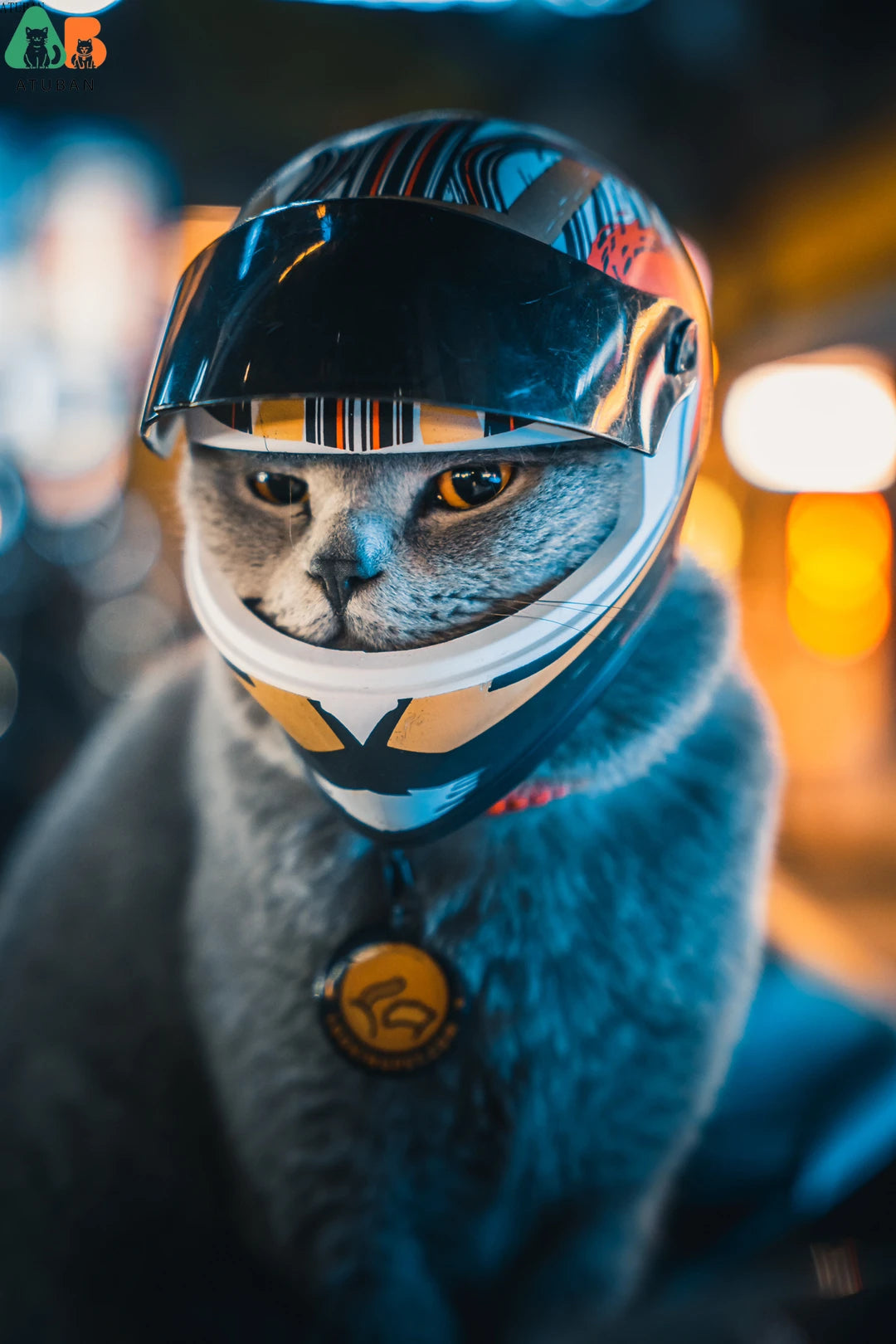 Small Pet Motorcycle Helmet Cat Dog Puppy Mini Helmets, Full Face Head Protecting Pets Hard Hat