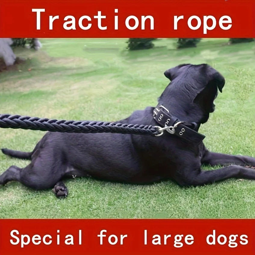 Comfort-Strong 5-Foot Braided Dog Leash Training & Enjoyable Walks