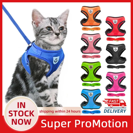 Cat Harness Vest Walking Lead Leash For Puppy Dogs Collar Polyester Adjustable Mesh Dog Harness For Small Medium Pet Accessories - Hiron Store