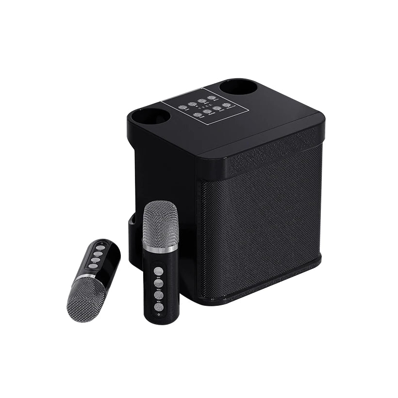 Dual Microphone Karaoke Machine for Adults and Kids Portable Bluetooth PA Speaker System with 2 Wireless Microphones for Home - Hiron Store