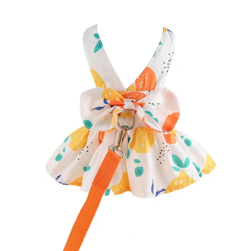 48454211895624|48454212059464|48454212157768|48454212288840|48454212419912