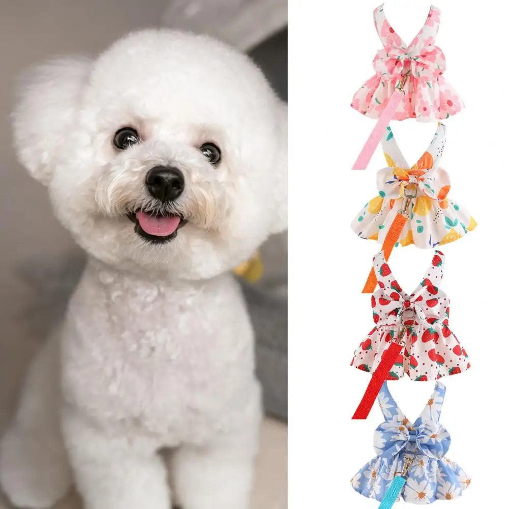 Cute Dog Dress Summer Outdoor Activities And Leash Set with Bowknot Decoration Pet Cat Princess Dress for Spring - Hiron Store